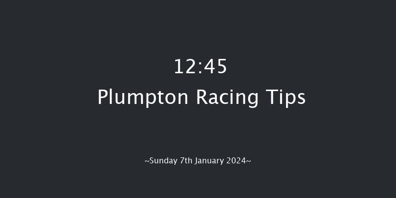 Plumpton 12:45 Conditions Hurdle (Class 3) 16f Mon 18th Dec 2023