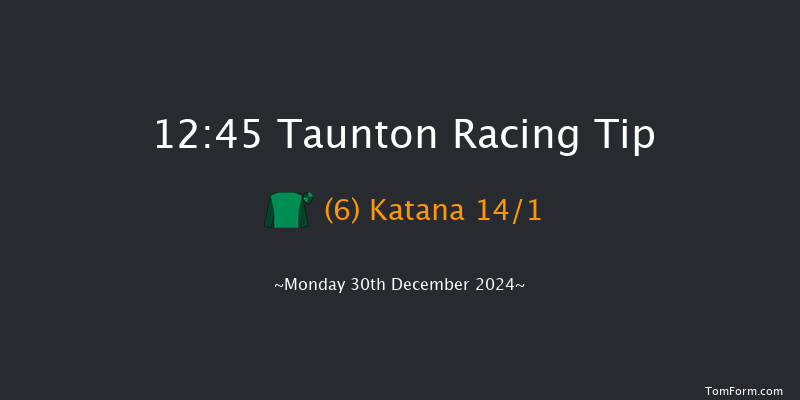Taunton  12:45 Maiden Hurdle (Class 4) 19f Thu 12th Dec 2024