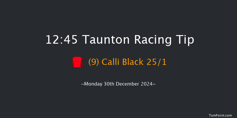 Taunton  12:45 Maiden Hurdle (Class 4) 19f Thu 12th Dec 2024
