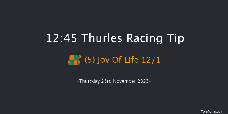 Thurles 12:45 Handicap Chase 18f Thu 2nd Nov 2023