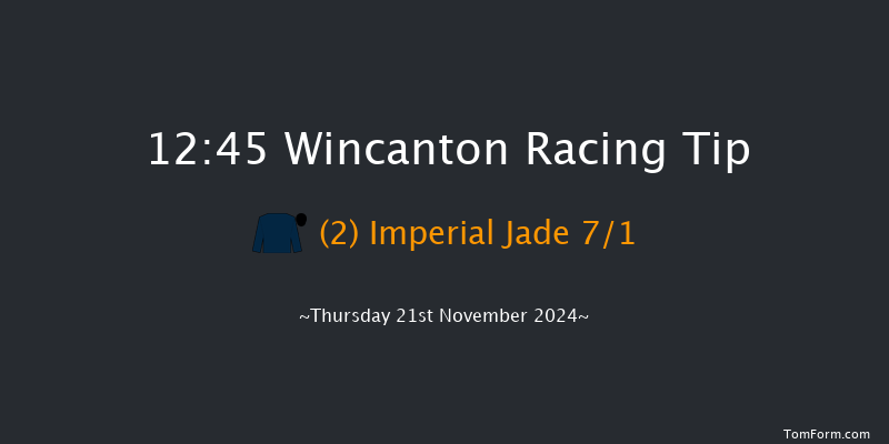 Wincanton  12:45 Handicap Hurdle (Class 5) 20f Sat 9th Nov 2024