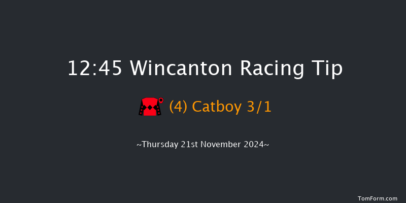 Wincanton  12:45 Handicap Hurdle (Class 5) 20f Sat 9th Nov 2024