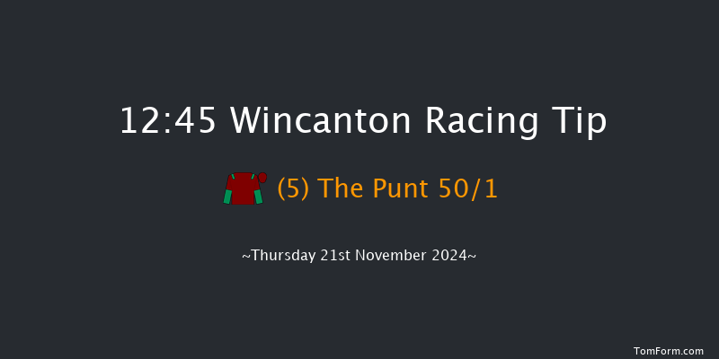 Wincanton  12:45 Handicap Hurdle (Class 5) 20f Sat 9th Nov 2024
