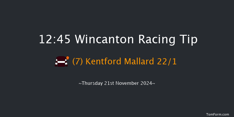 Wincanton  12:45 Handicap Hurdle (Class 5) 20f Sat 9th Nov 2024