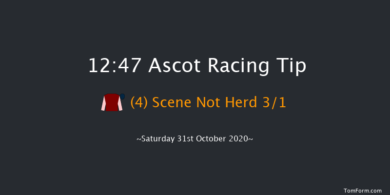 tote.co.uk Conditional Jockeys' Novices' Handicap Hurdle (GBB Race) (Div 2) Ascot 12:47 Handicap Hurdle (Class 4) 19f Sat 17th Oct 2020