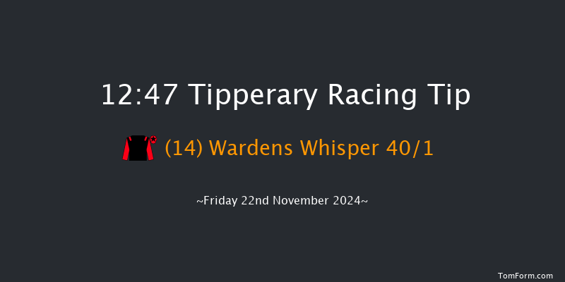 Tipperary  12:47 Handicap Hurdle 16f Sun 6th Oct 2024