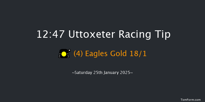 Uttoxeter  12:47 Handicap Hurdle (Class 5) 16f Tue 31st Dec 2024