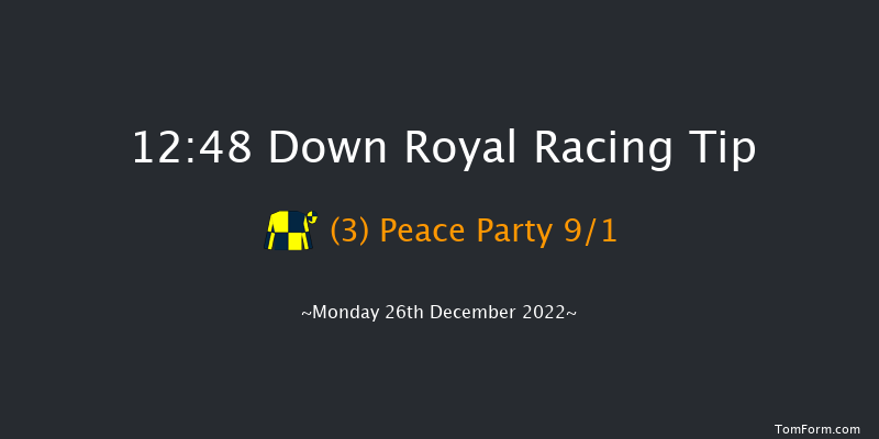 Down Royal 12:48 Handicap Hurdle 17f Sat 5th Nov 2022
