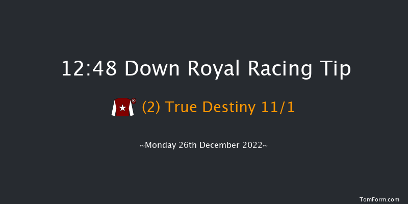Down Royal 12:48 Handicap Hurdle 17f Sat 5th Nov 2022