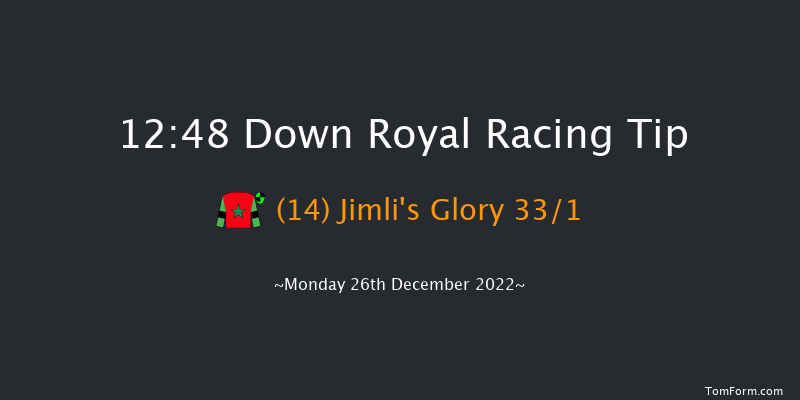 Down Royal 12:48 Handicap Hurdle 17f Sat 5th Nov 2022