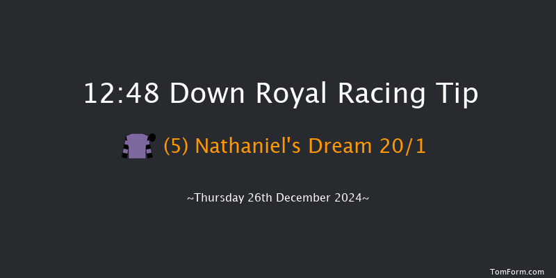 Down Royal  12:48 Handicap Hurdle 17f Sat 2nd Nov 2024