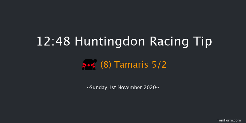 MansionBet Proud To Support British Racing Juvenile Hurdle (GBB Race) Huntingdon 12:48 Conditions Hurdle (Class 4) 16f Tue 13th Oct 2020