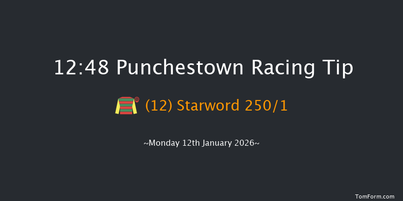 Punchestown 12:48 16f Sun 11th Jan 2026