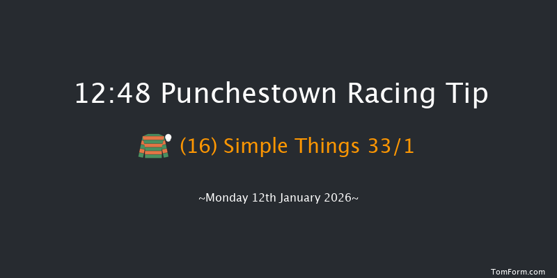 Punchestown 12:48 16f Sun 11th Jan 2026