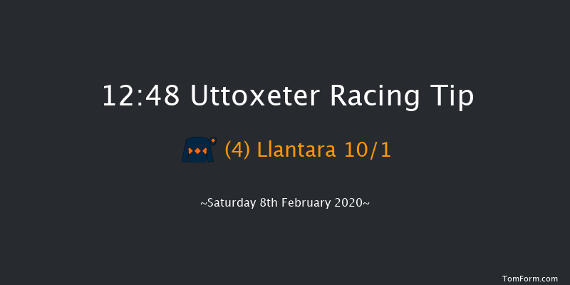 MansionBet Faller Insurance Mares' Handicap Hurdle Uttoxeter 12:48 Handicap Hurdle (Class 4) 16f Sat 25th Jan 2020
