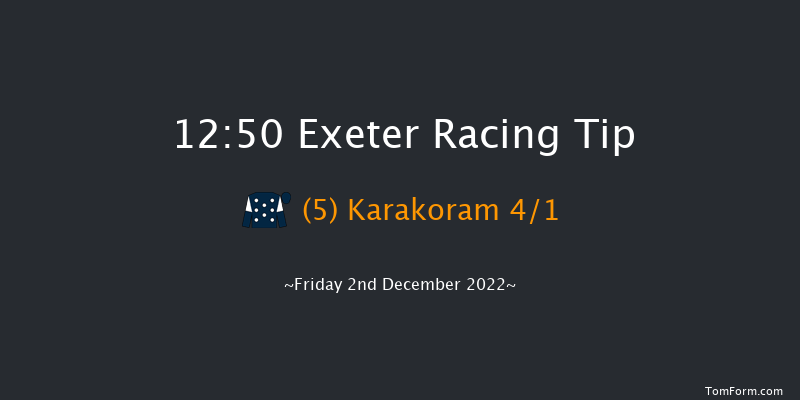 Exeter 12:50 Handicap Hurdle (Class 5) 18f Sun 20th Nov 2022