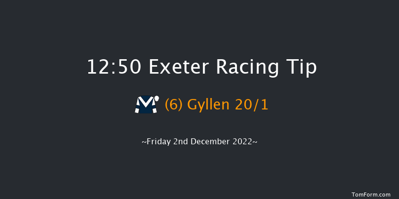 Exeter 12:50 Handicap Hurdle (Class 5) 18f Sun 20th Nov 2022
