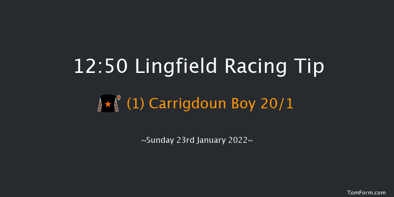 Lingfield 12:50 Stakes (Class 2) 16f Sat 22nd Jan 2022