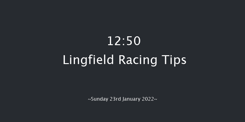 Lingfield 12:50 Stakes (Class 2) 16f Sat 22nd Jan 2022
