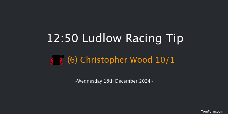 Ludlow  12:50 Handicap Chase (Class 3) 24f Wed 4th Dec 2024