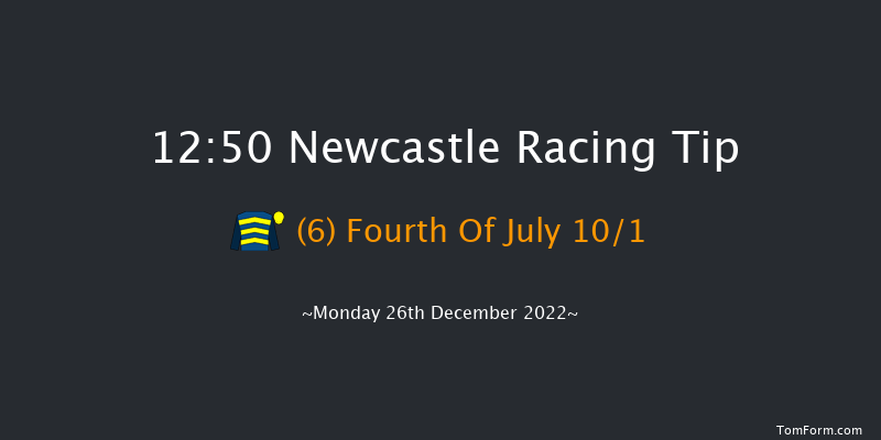 Newcastle 12:50 Handicap Chase (Class 5) 16f Tue 20th Dec 2022