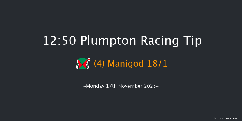 Plumpton 12:50 (Class 4) 20f Mon 3rd Nov 2025