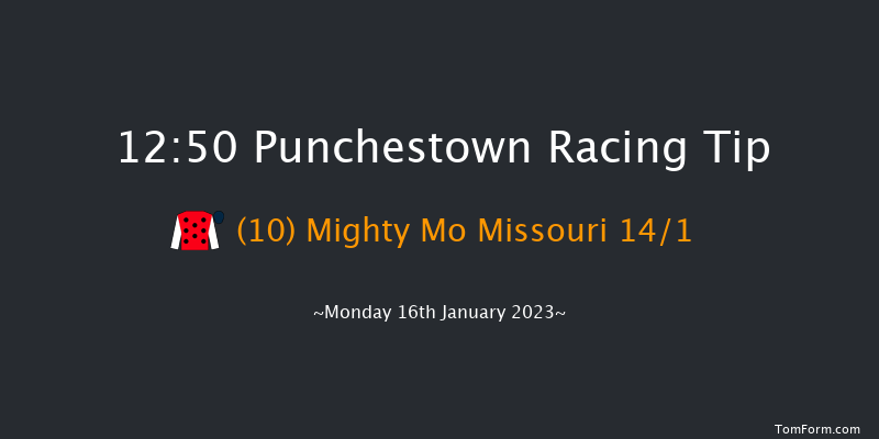 Punchestown 12:50 Maiden Hurdle 16f Sun 15th Jan 2023