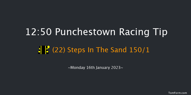 Punchestown 12:50 Maiden Hurdle 16f Sun 15th Jan 2023