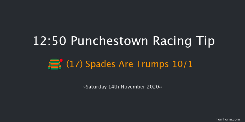 Alanna Homes Handicap Chase (grade B) Punchestown 12:50 Handicap Chase 20f Wed 28th Oct 2020