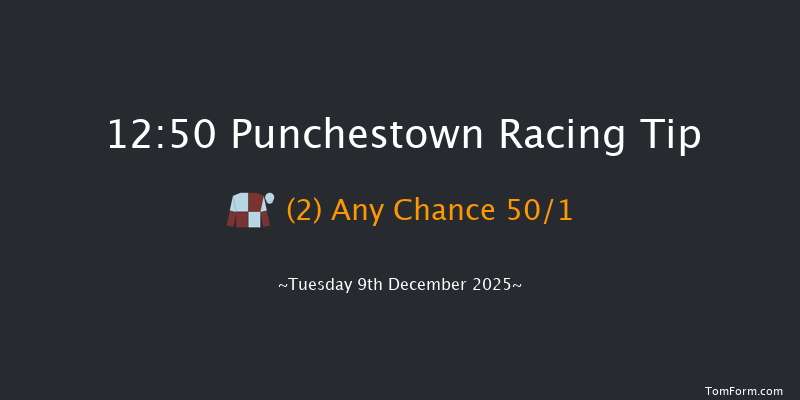 Punchestown 12:50 19f Sun 23rd Nov 2025