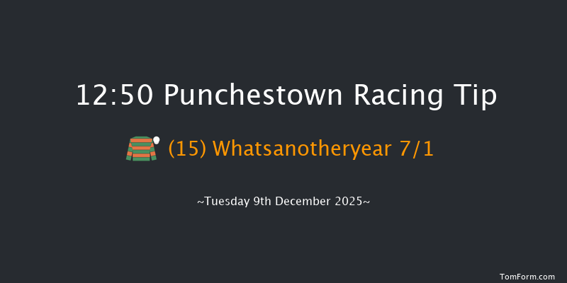 Punchestown 12:50 19f Sun 23rd Nov 2025
