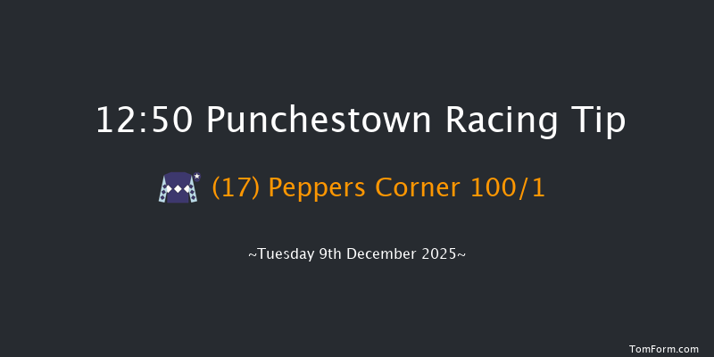 Punchestown 12:50 19f Sun 23rd Nov 2025