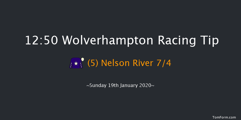 Wolverhampton 12:50 Handicap (Class 5) 14f Wed 15th Jan 2020