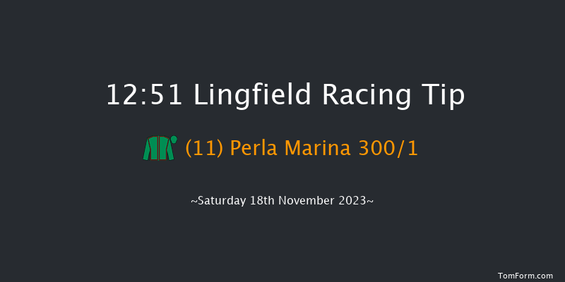 Lingfield 12:51 Maiden (Class 5) 10f Tue 14th Nov 2023
