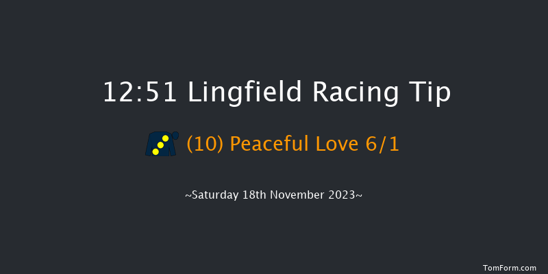 Lingfield 12:51 Maiden (Class 5) 10f Tue 14th Nov 2023
