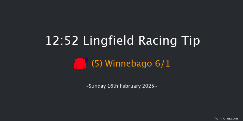 Lingfield  12:52 Stakes (Class 4) 7f Tue 11th Feb 2025