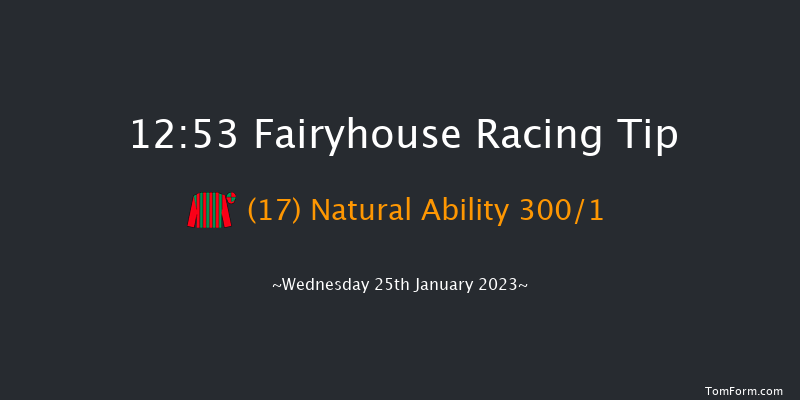 Fairyhouse 12:53 Maiden Chase 16f Sat 14th Jan 2023