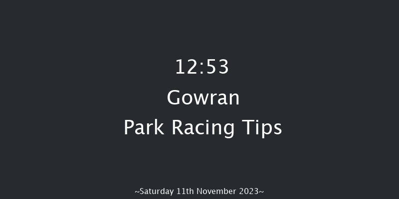 Gowran Park 12:53 Handicap Chase 16f Tue 17th Oct 2023