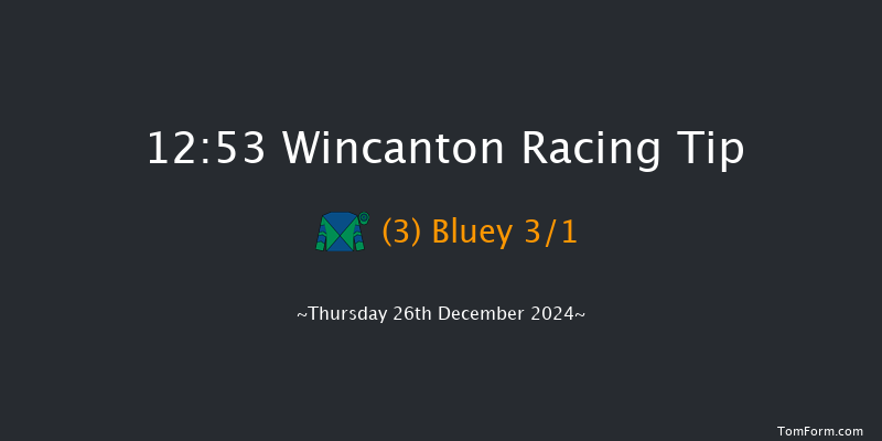 Wincanton  12:53 Maiden Hurdle (Class 4) 15f Tue 17th Dec 2024
