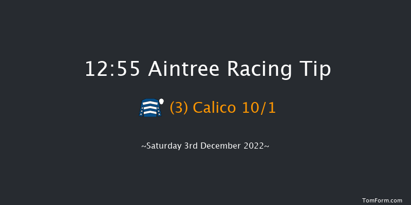 Aintree 12:55 Conditions Hurdle (Class 1) 17f Sat 5th Nov 2022