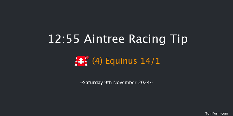 Aintree  12:55 Handicap Chase (Class 3) 25f Sun 27th Oct 2024