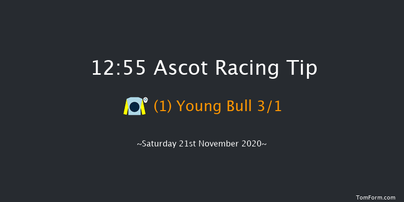 Play The Coral 'Racing Super Series' Novices' Limited Handicap Chase (GBB Race) Ascot 12:55 Handicap Chase (Class 3) 24f Fri 20th Nov 2020
