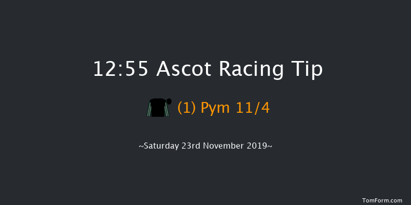 Ascot 12:55 Handicap Chase (Class 3) 24f Fri 22nd Nov 2019