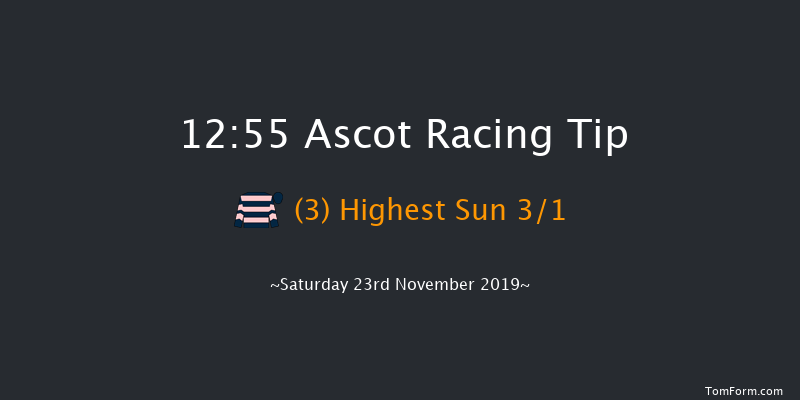 Ascot 12:55 Handicap Chase (Class 3) 24f Fri 22nd Nov 2019