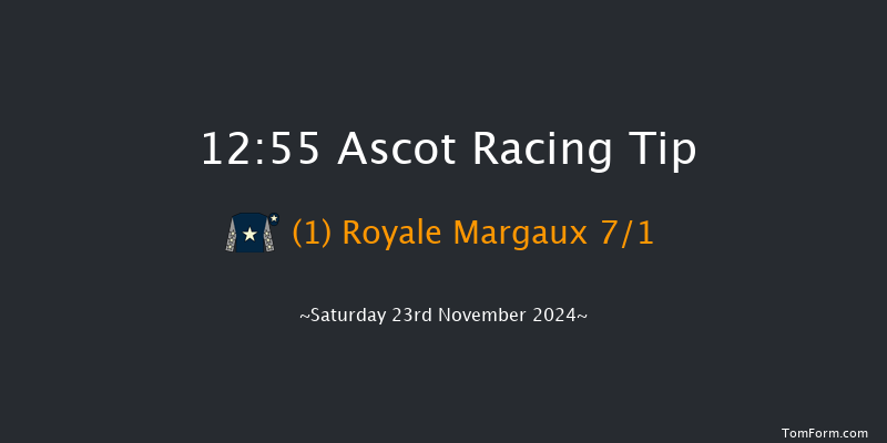 Ascot  12:55 Handicap Hurdle (Class 3) 24f Fri 22nd Nov 2024