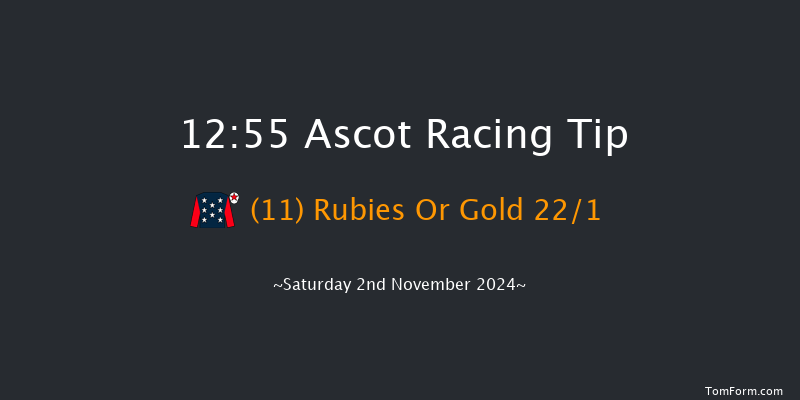 Ascot  12:55 Handicap Hurdle (Class 4) 19f  Sat 19th Oct 2024