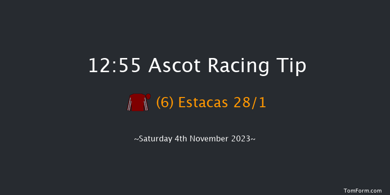 Ascot 12:55 Handicap Hurdle (Class 4) 19f Sat 21st Oct 2023