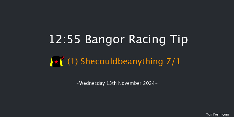 Bangor-on-dee  12:55 Maiden Chase (Class 1)
17f Tue 29th Oct 2024