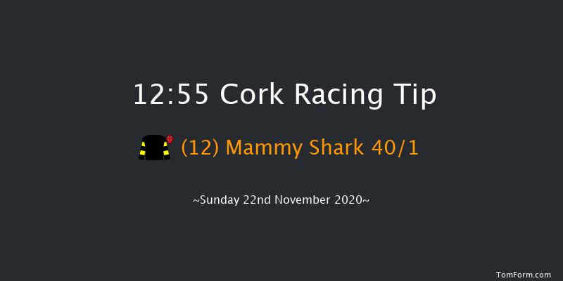 I.N.H. Stallion Owners EBF Maiden Hurdle Cork 12:55 Maiden Hurdle 16f Sun 1st Nov 2020