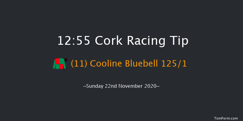 I.N.H. Stallion Owners EBF Maiden Hurdle Cork 12:55 Maiden Hurdle 16f Sun 1st Nov 2020